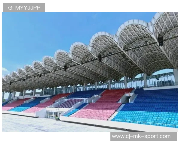 如何在网上和线下购买足球赛门票的详细指南与攻略