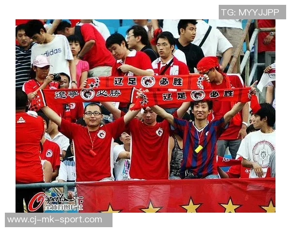 辽足球迷协会携手共筑足球梦想共创辉煌未来的热情与团结